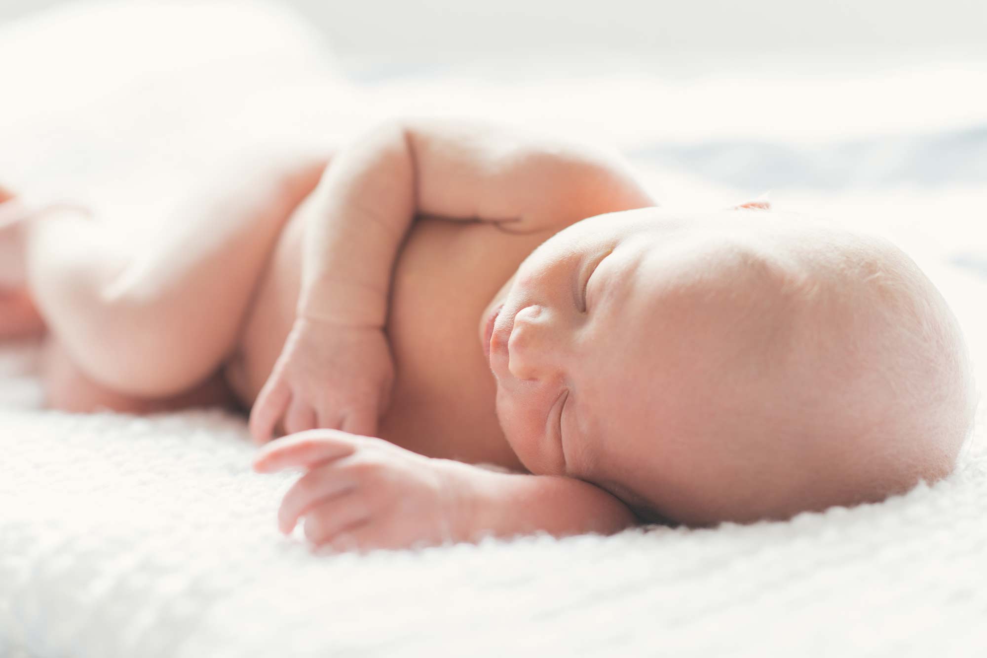 Newborn fotografie Haarlem