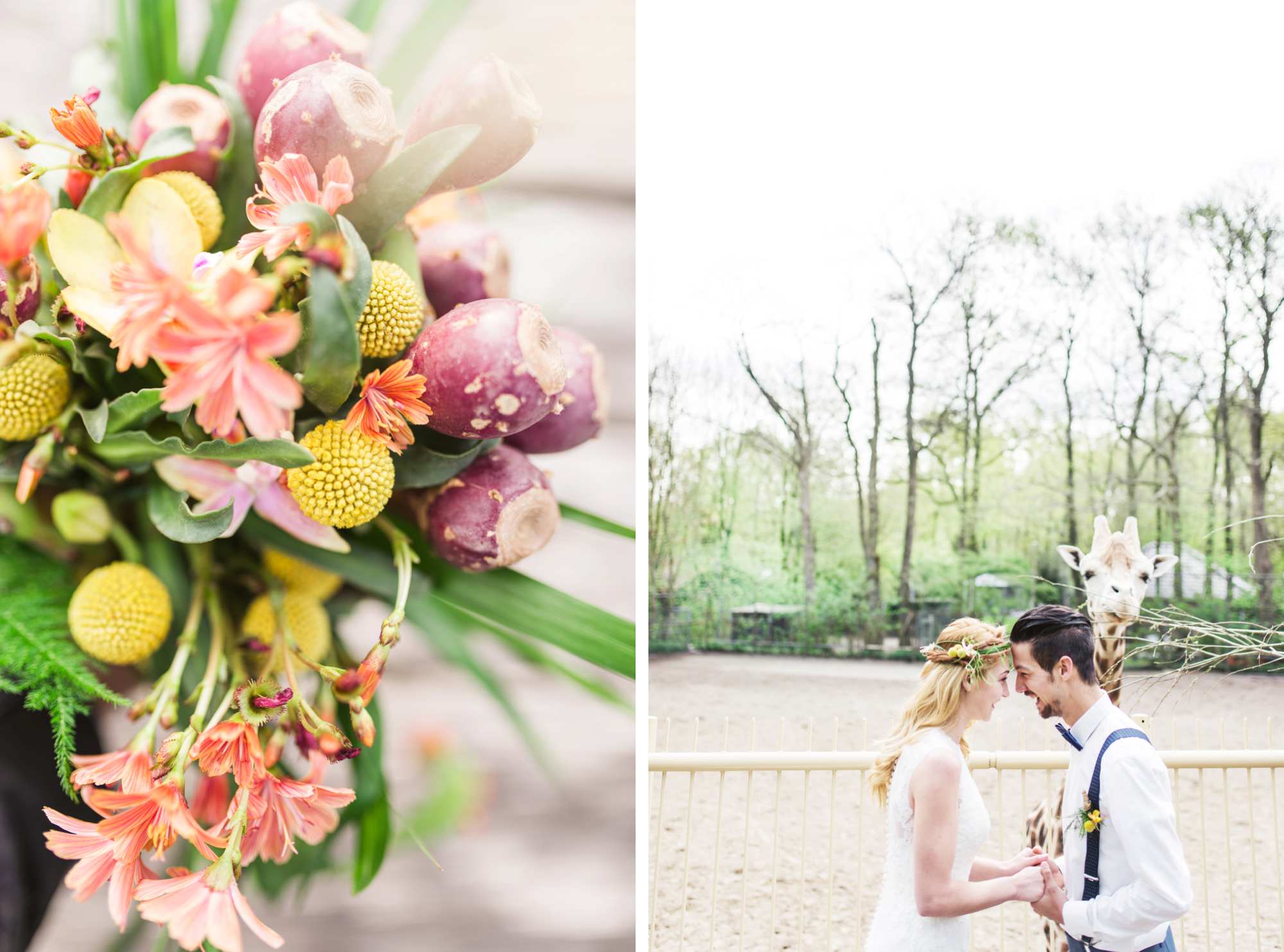 Styled Shoot Tropical Jungle Wedding Ouwehands Dierenpark