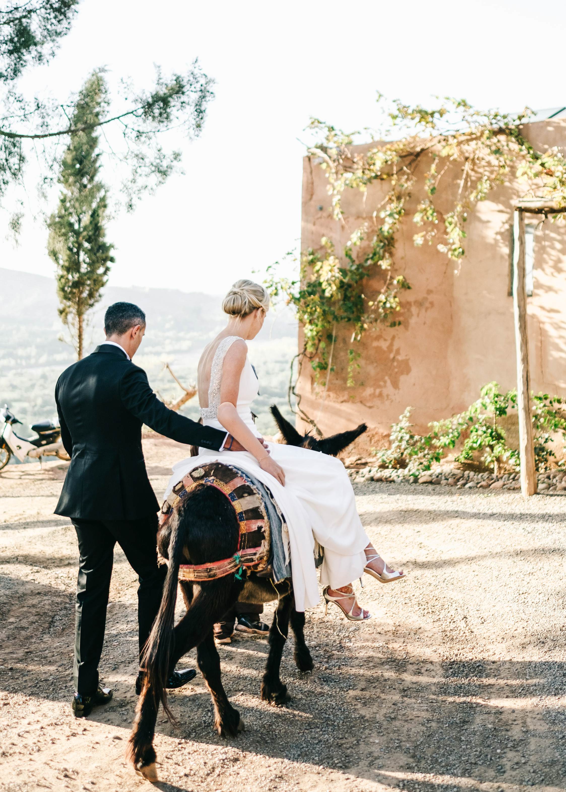 Photography Marrakech Morocco - Wedding donkey