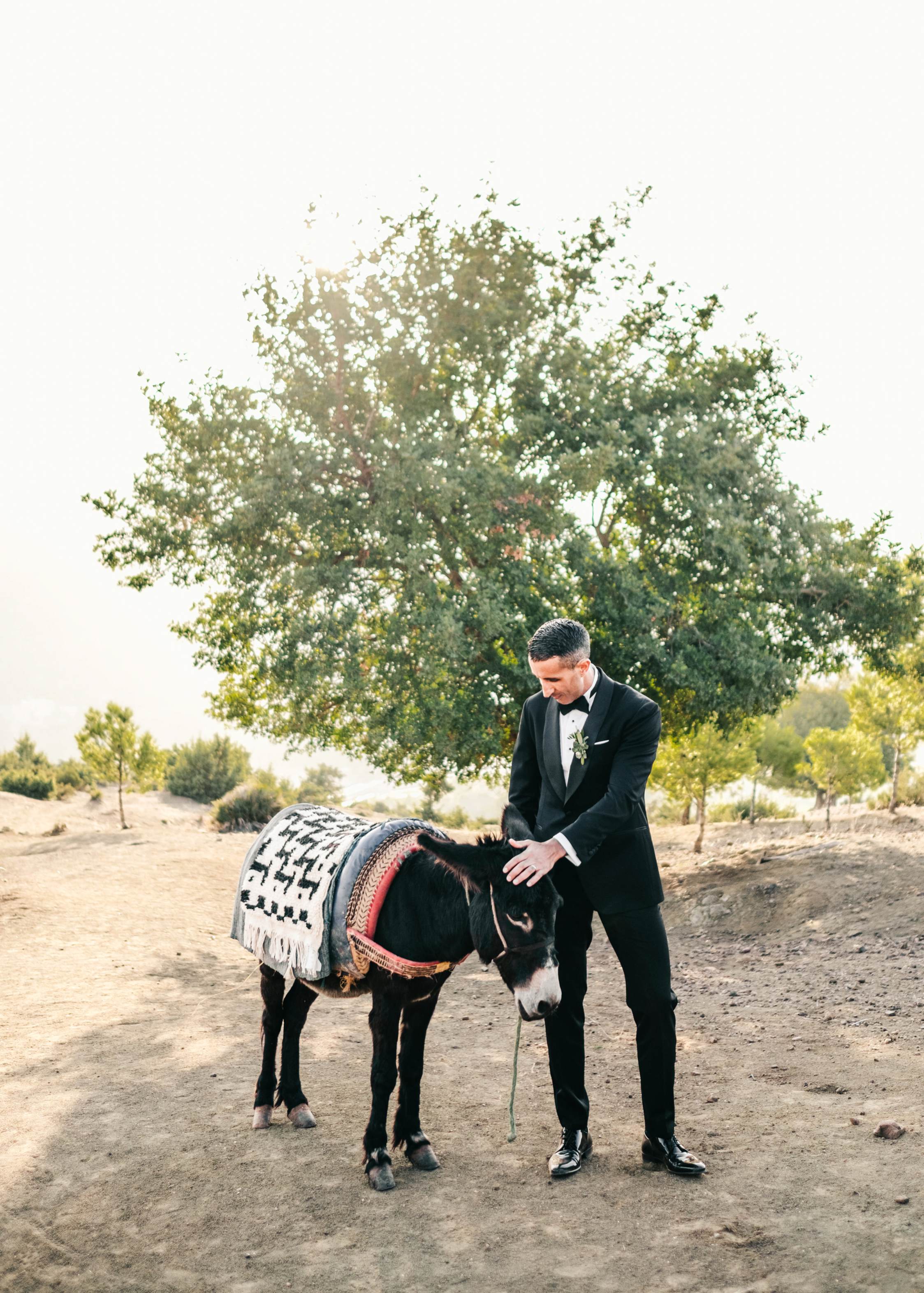Fine art photographer Marrakech Morocco - Wedding donkey