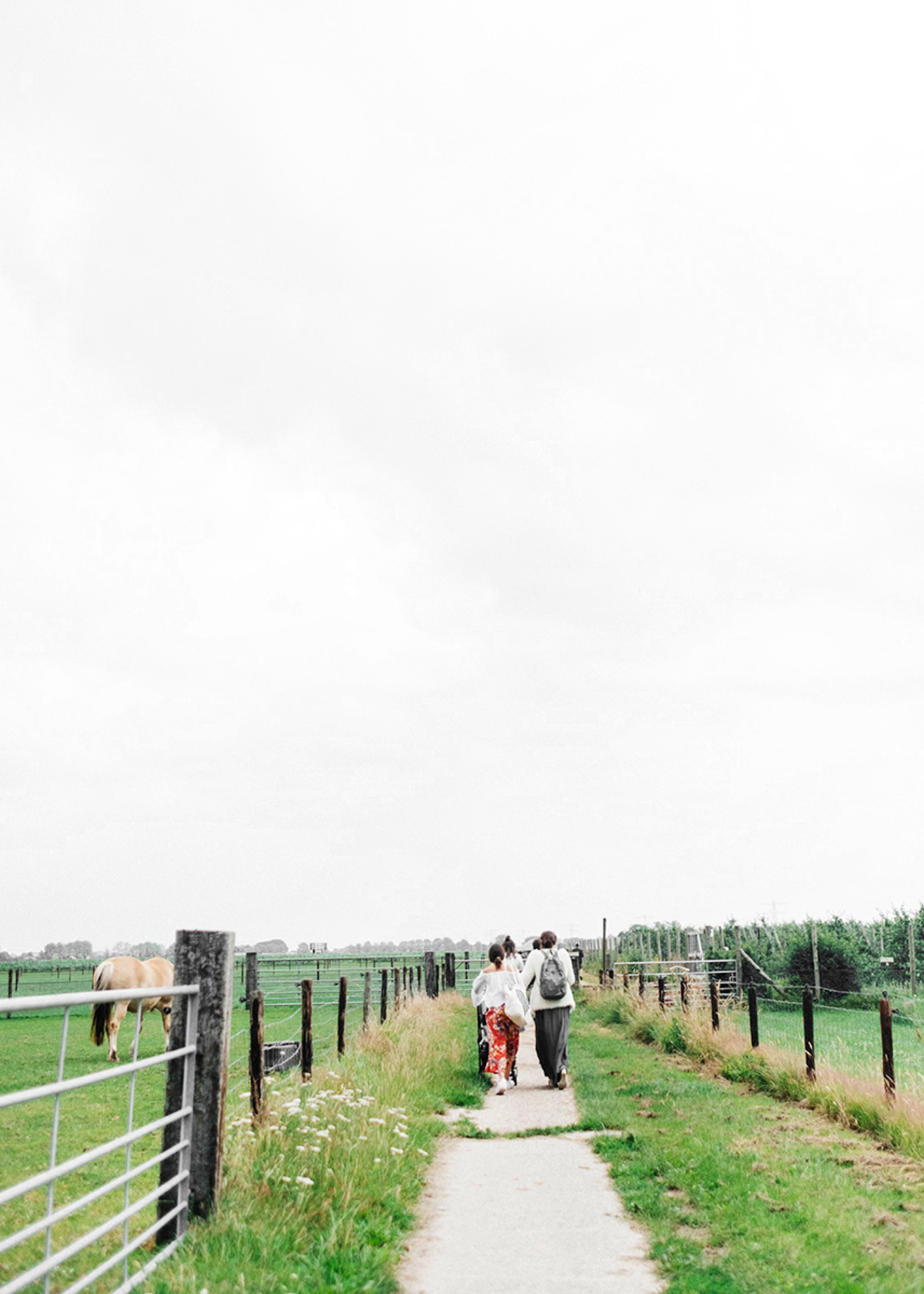Photography intimate farm wedding - Farm wedding