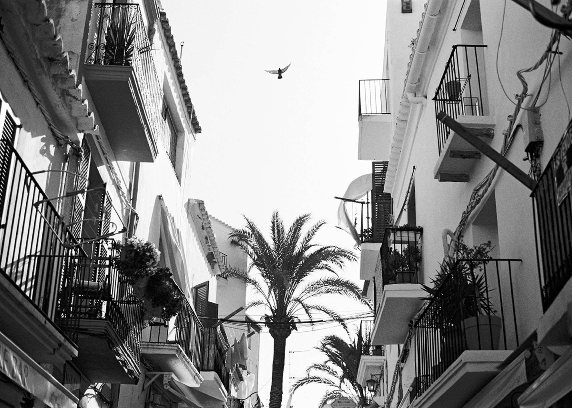 fine art photographer ibiza - Ibiza city