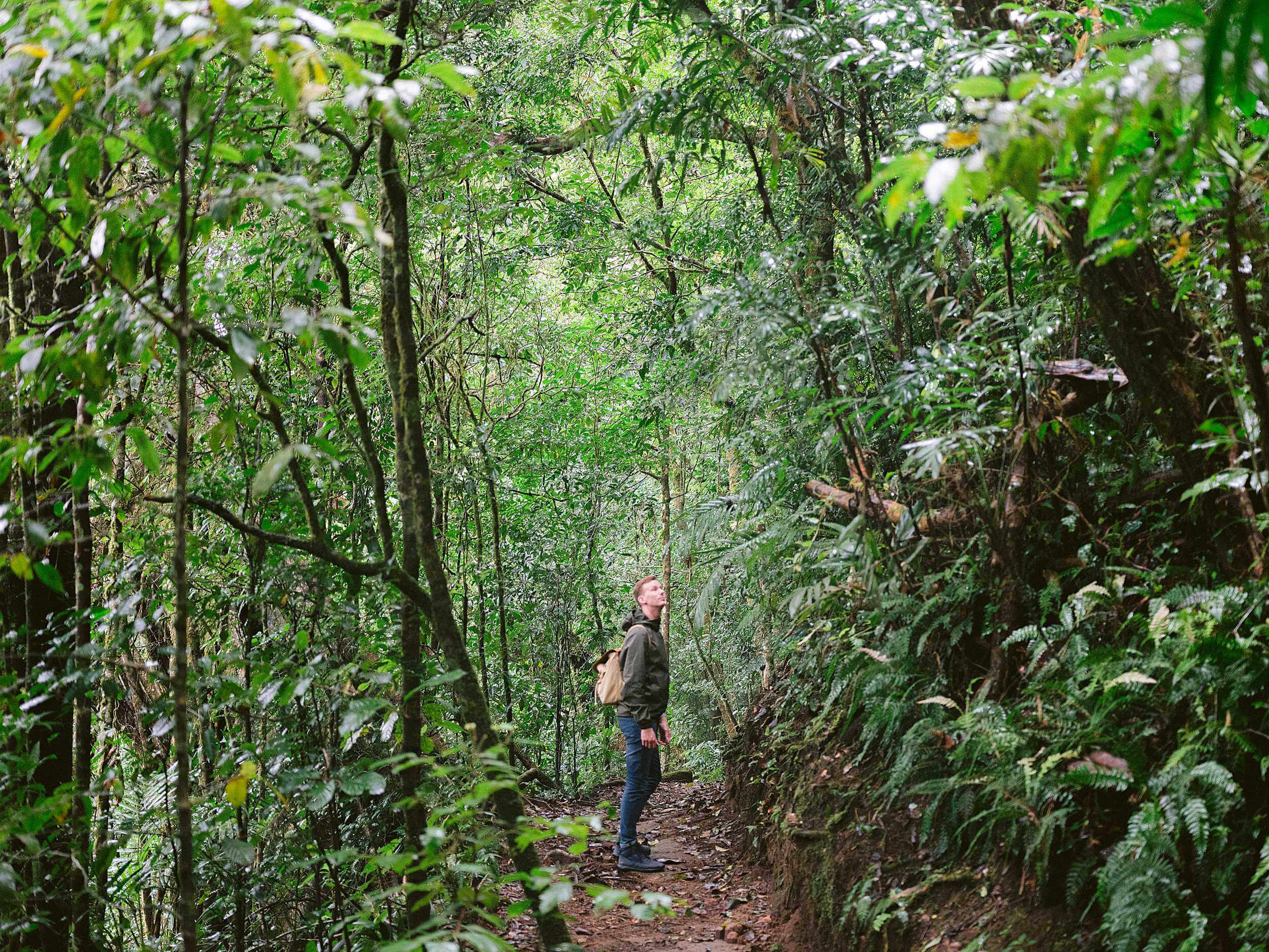 Travel photography inspiration and prints - by Raisa Zwart - Monteverde Costa Rica