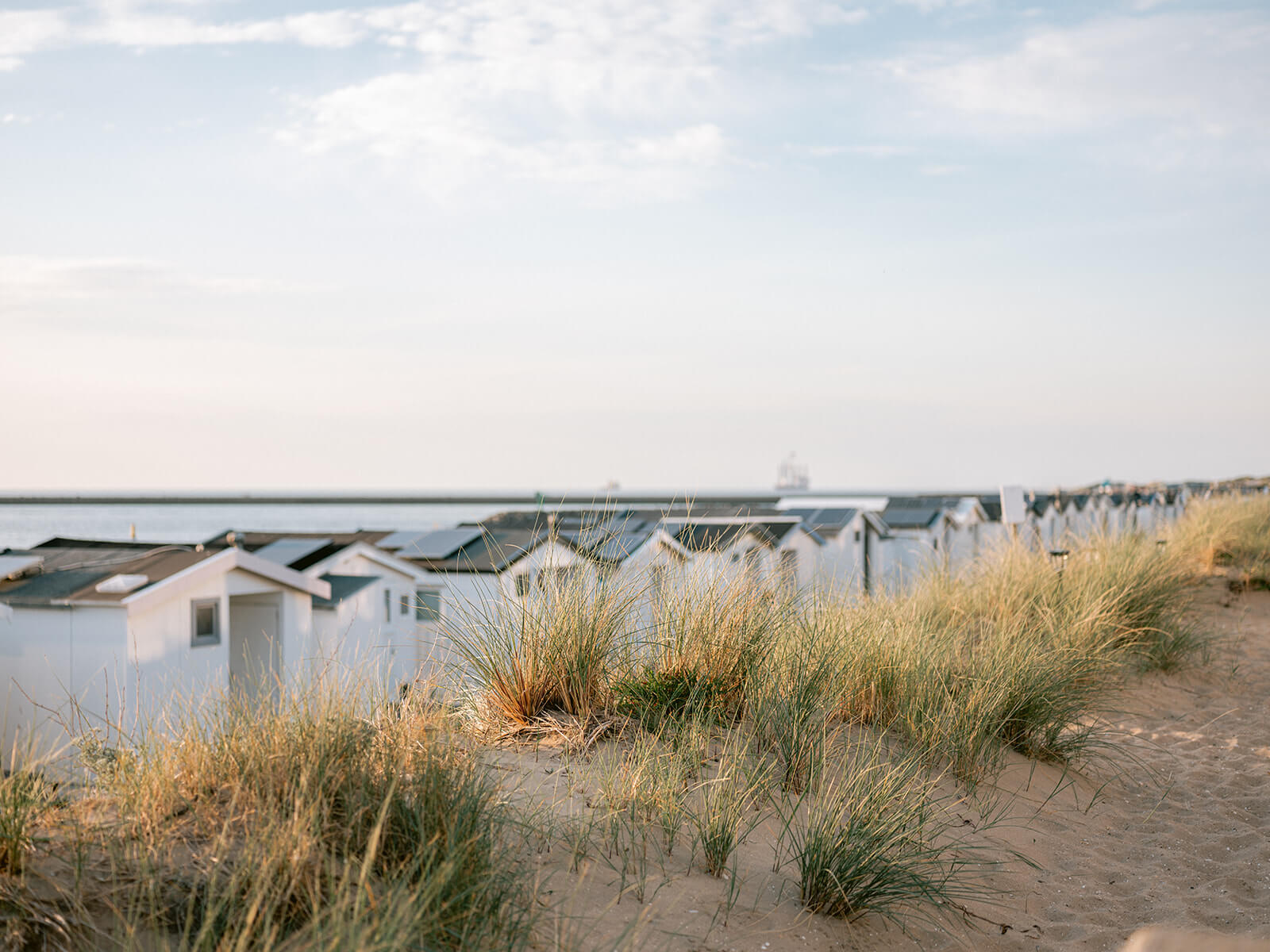 Lifestyle portrait photography on the beach in the Netherlands | Raisa Zwart Photography
