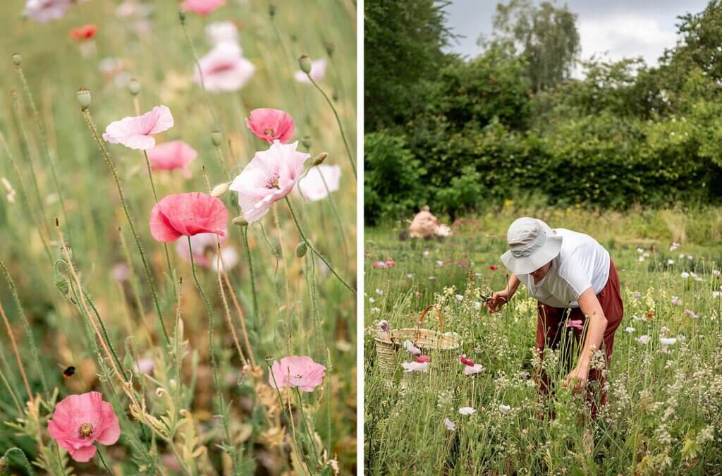 Floral retreat photography in Belgium Europe, for Fleuropean by Raisa Zwart