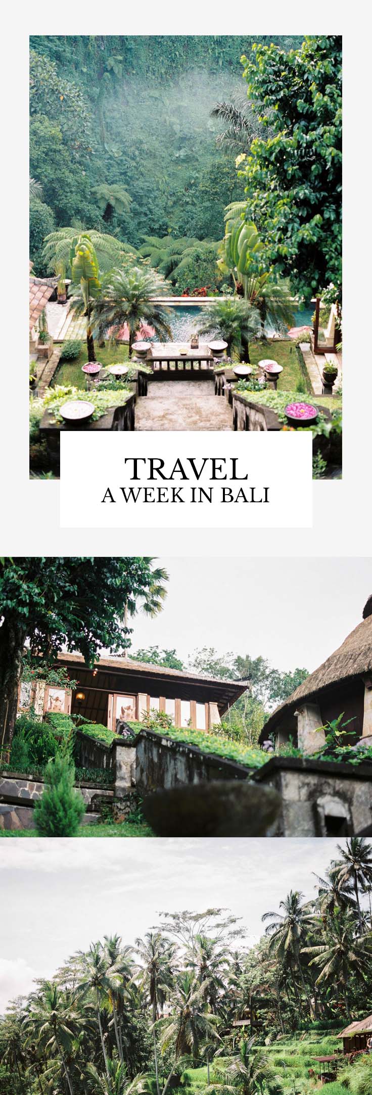 Travel - A week in Bali